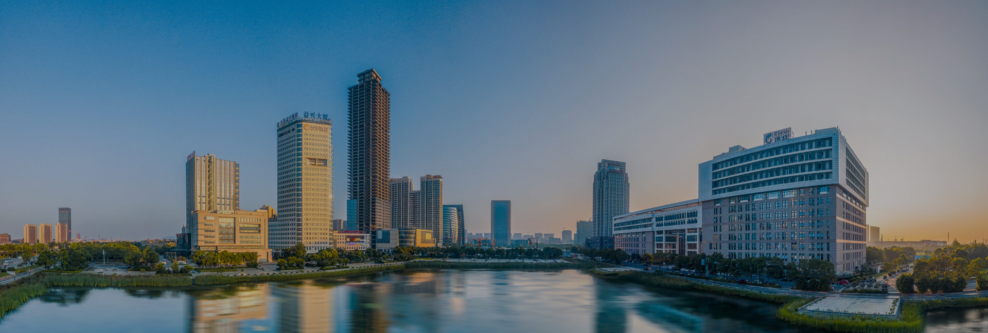 业务领域